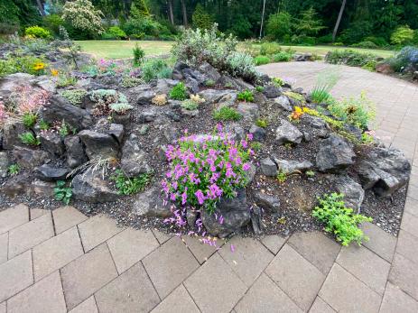 Views of the new Heronswood rock garden.