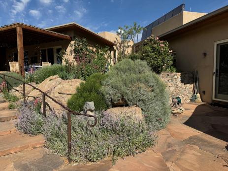 The garden at the front steps.