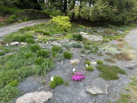 The garden in 2023 after restoration.