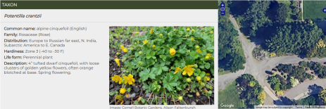 Screenshot of a plant record from the Garden Explorer website.