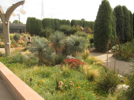 View of the Denver Botanic Gardens, where many plants thrive that are tender elsewhere.