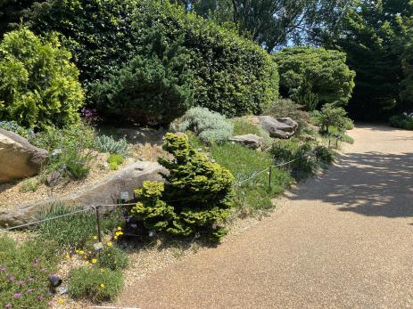 Views of the rock garden in July 