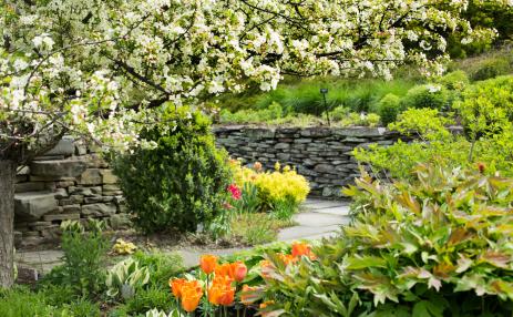 The Young Flower Garden in Spring. Photo by Jay Potter