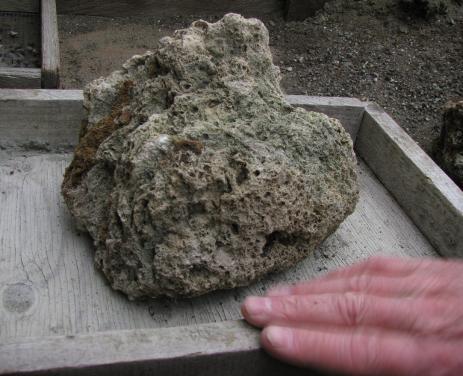 Practicing  positioning rocks in a small box before placing them in a trough.