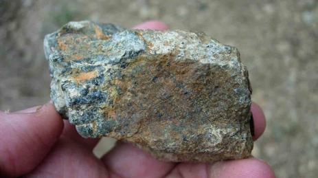 A weathered piece of serpentine rock from Goat Hill serpentine barrens.