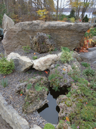 Tufa shaped to fit around a pool.