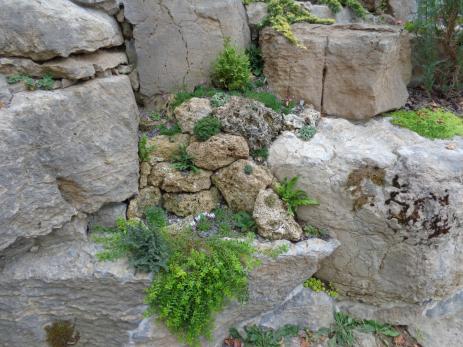 A tufa wall built between two limestone boulders.