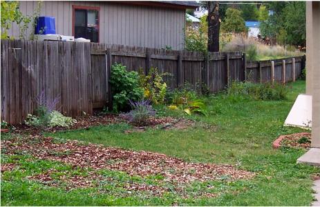 The garden before.