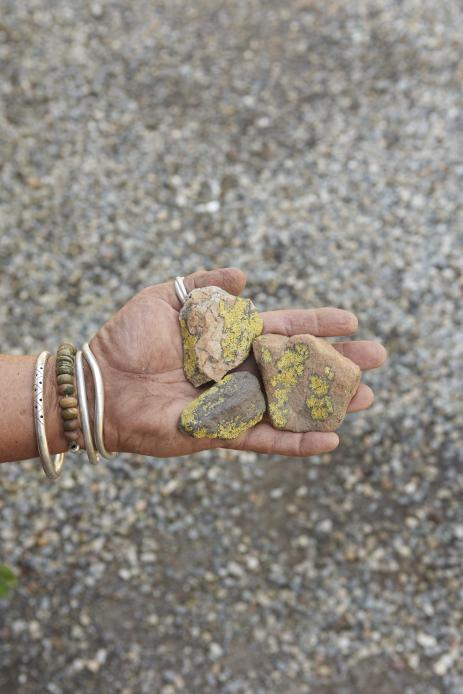 I love stones spangled with lichen. All photos by Jeff McNamara unless noted.