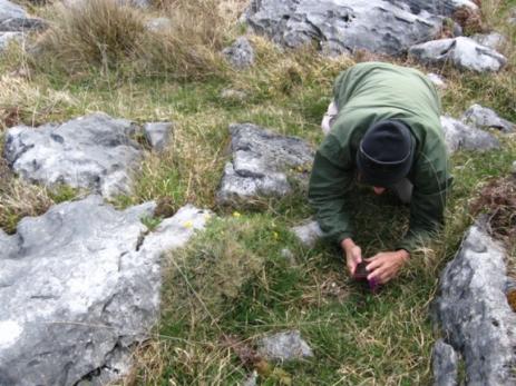 Michael Campbell visiting the Burren on Ireland's west coast.