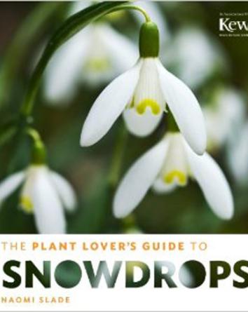 A Plant Lovers Guide to Snowdrops