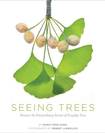 Seeing Trees book cover