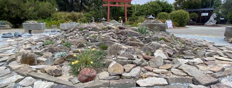 The central crevice garden.