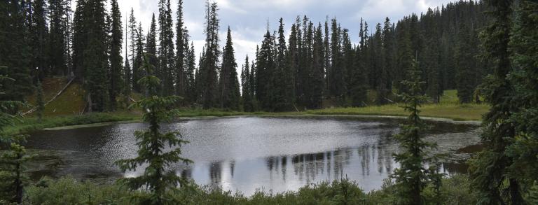 Lake on Engineer Mountain