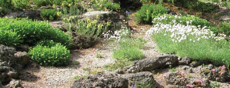  A view of of the Thompson tufa rock garden