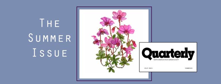 Summer Issue of the Q
