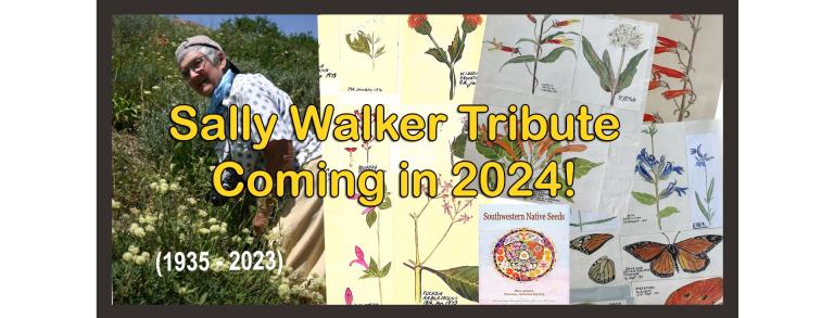 Sally Walker Tribute