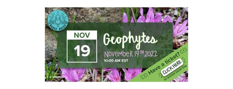 Geophytes Save the Date