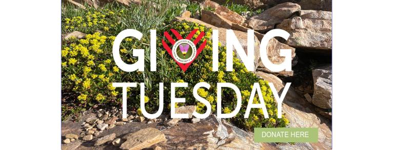 NARGS Giving Tuesday