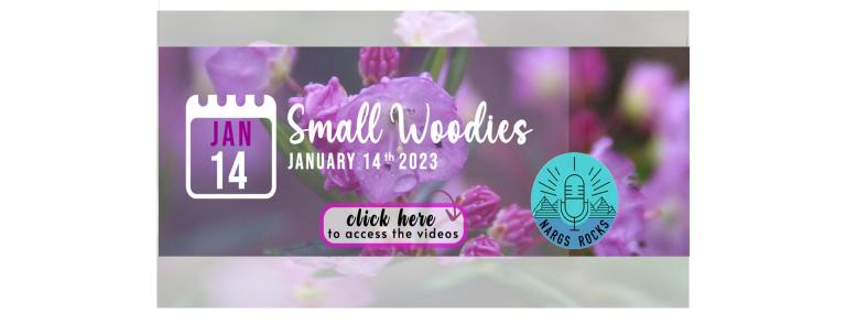Small Woodies