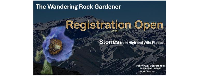 Wandering Rock Gardener