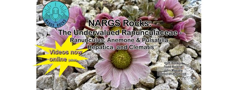 NARGS Rocks Ranunculaceae Videos