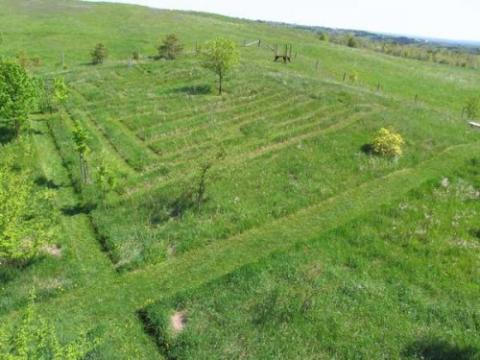 Brian Bixley's maze. Photo, though not included in the book, was provided by the author.