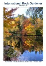 Fall Colour, Highland  Scotland 