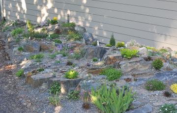 Spriggs Crevice Garden BC