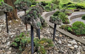 tufa on poles Mendel