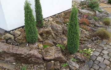 Brejnik Small Crevice Garden