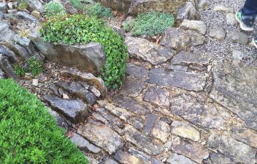 Brejnik Crevice Garden Path