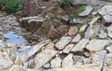 Brejnik Crevice Garden Canyon Top