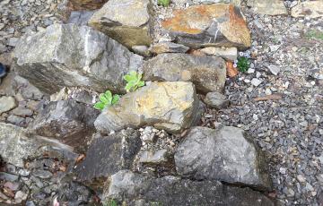 Brejnik Thicker Crevice Rocks