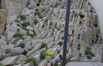 Granite Wall Garden
