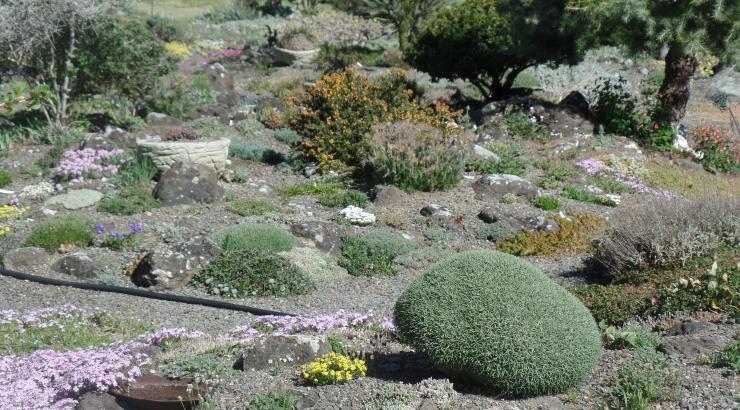 View in Kathy’s garden (Photo by Leigh Blake)
