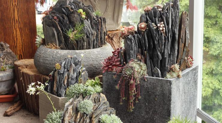 Container crevice gardens